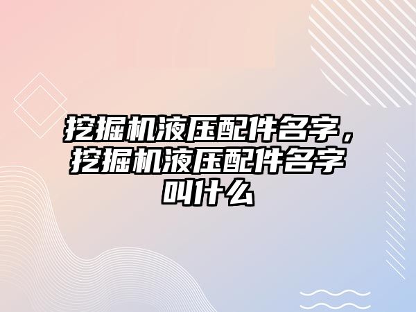 挖掘機液壓配件名字，挖掘機液壓配件名字叫什么