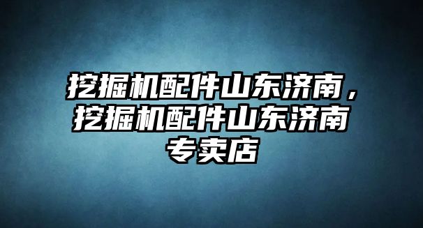 挖掘機(jī)配件山東濟(jì)南，挖掘機(jī)配件山東濟(jì)南專賣店