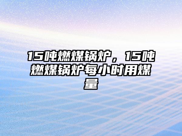 15噸燃煤鍋爐，15噸燃煤鍋爐每小時用煤量