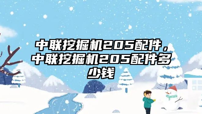 中聯(lián)挖掘機205配件，中聯(lián)挖掘機205配件多少錢