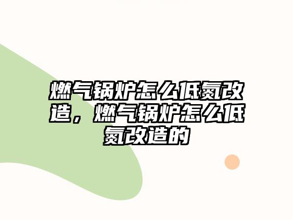 燃?xì)忮仩t怎么低氮改造，燃?xì)忮仩t怎么低氮改造的