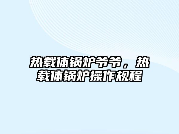 熱載體鍋爐爺爺，熱載體鍋爐操作規(guī)程