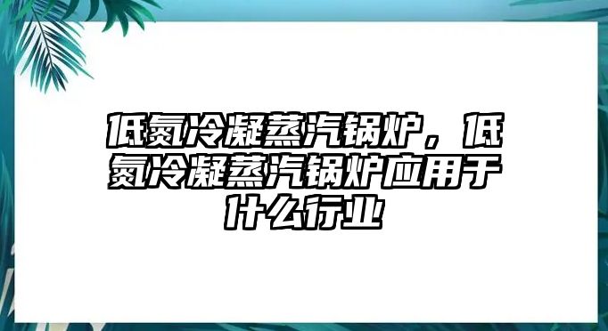 低氮冷凝蒸汽鍋爐，低氮冷凝蒸汽鍋爐應用于什么行業(yè)