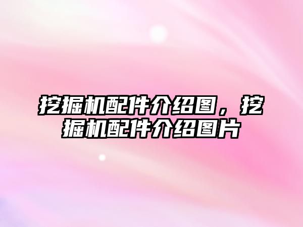 挖掘機配件介紹圖，挖掘機配件介紹圖片