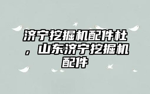 濟寧挖掘機配件杜，山東濟寧挖掘機配件