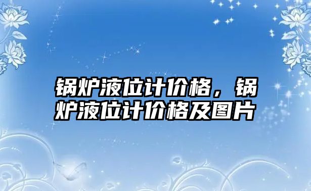 鍋爐液位計價格，鍋爐液位計價格及圖片