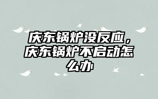 慶東鍋爐沒反應(yīng)，慶東鍋爐不啟動怎么辦