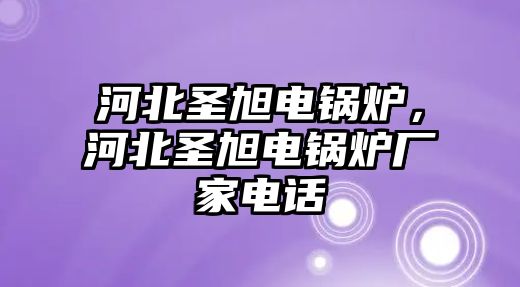 河北圣旭電鍋爐，河北圣旭電鍋爐廠家電話