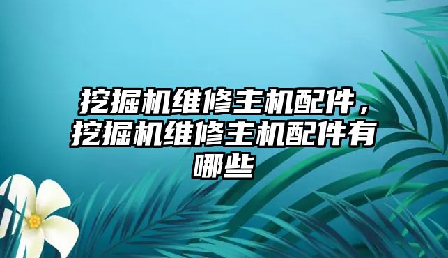 挖掘機(jī)維修主機(jī)配件，挖掘機(jī)維修主機(jī)配件有哪些