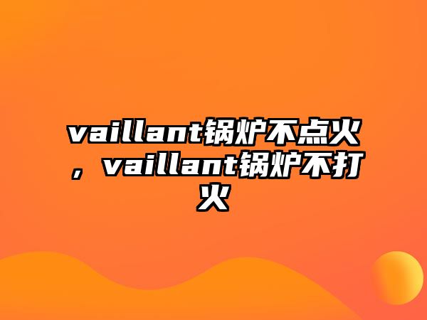 vaillant鍋爐不點(diǎn)火，vaillant鍋爐不打火