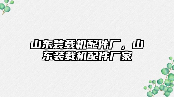 山東裝載機配件廠，山東裝載機配件廠家