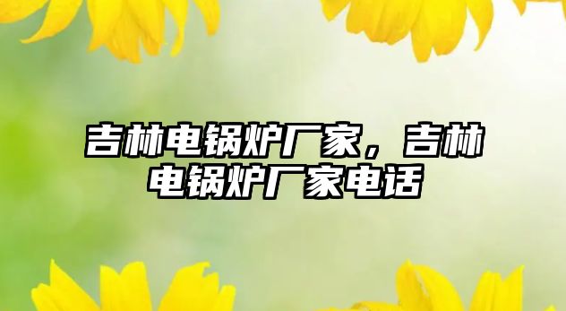 吉林電鍋爐廠家，吉林電鍋爐廠家電話