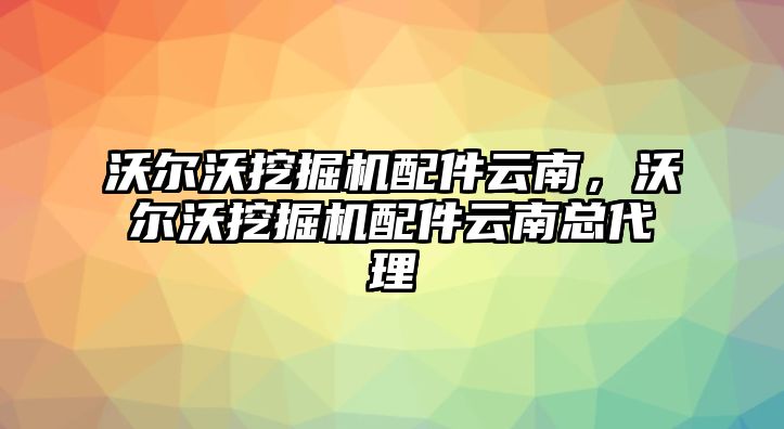 沃爾沃挖掘機(jī)配件云南，沃爾沃挖掘機(jī)配件云南總代理