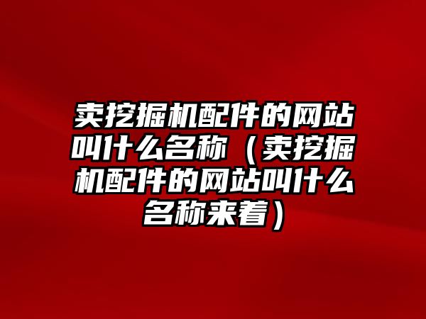 賣挖掘機配件的網(wǎng)站叫什么名稱（賣挖掘機配件的網(wǎng)站叫什么名稱來著）