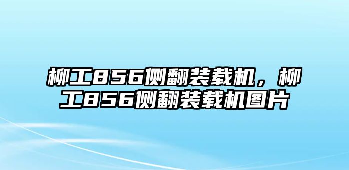 柳工856側(cè)翻裝載機，柳工856側(cè)翻裝載機圖片