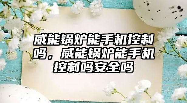 威能鍋爐能手機控制嗎，威能鍋爐能手機控制嗎安全嗎