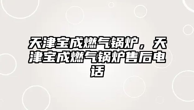 天津?qū)毘扇細(xì)忮仩t，天津?qū)毘扇細(xì)忮仩t售后電話