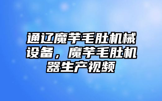 通遼魔芋毛肚機械設(shè)備，魔芋毛肚機器生產(chǎn)視頻