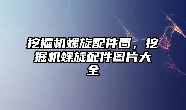 挖掘機螺旋配件圖，挖掘機螺旋配件圖片大全