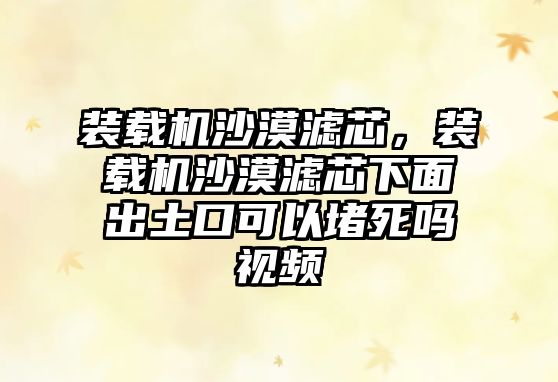 裝載機(jī)沙漠濾芯，裝載機(jī)沙漠濾芯下面出土口可以堵死嗎視頻