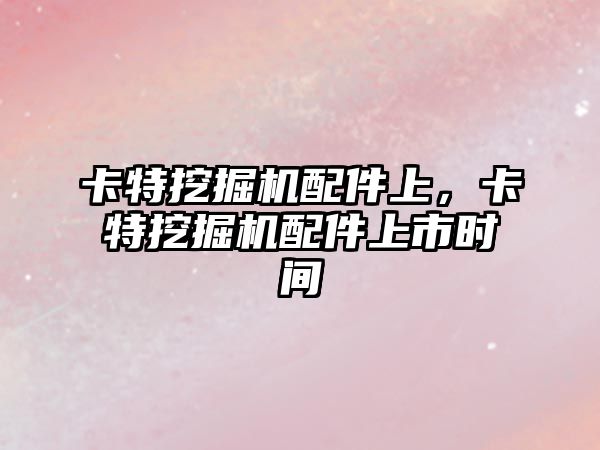 卡特挖掘機配件上，卡特挖掘機配件上市時間