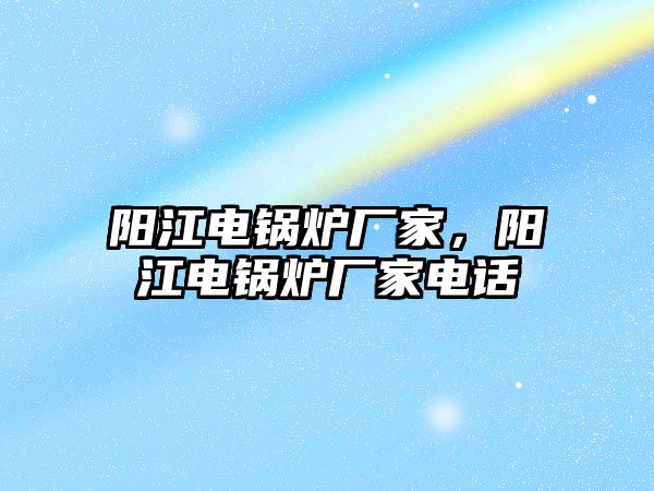 陽江電鍋爐廠家，陽江電鍋爐廠家電話