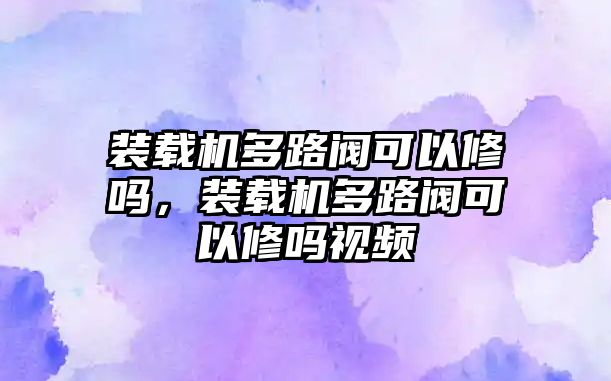 裝載機(jī)多路閥可以修嗎，裝載機(jī)多路閥可以修嗎視頻