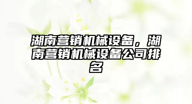 湖南營銷機械設(shè)備，湖南營銷機械設(shè)備公司排名