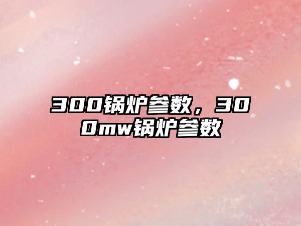 300鍋爐參數(shù)，300mw鍋爐參數(shù)