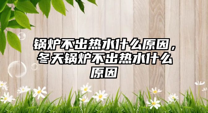 鍋爐不出熱水什么原因，冬天鍋爐不出熱水什么原因