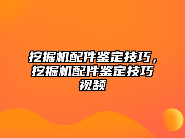 挖掘機配件鑒定技巧，挖掘機配件鑒定技巧視頻