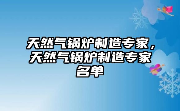 天然氣鍋爐制造專家，天然氣鍋爐制造專家名單