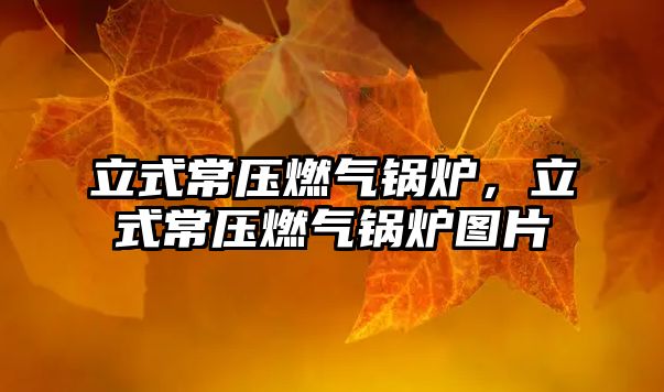 立式常壓燃?xì)忮仩t，立式常壓燃?xì)忮仩t圖片