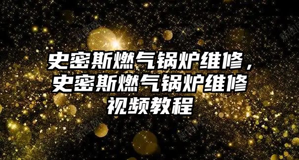 史密斯燃?xì)忮仩t維修，史密斯燃?xì)忮仩t維修視頻教程