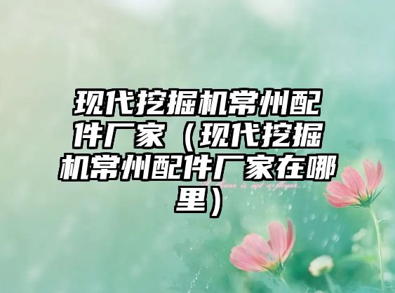 現(xiàn)代挖掘機(jī)常州配件廠家（現(xiàn)代挖掘機(jī)常州配件廠家在哪里）