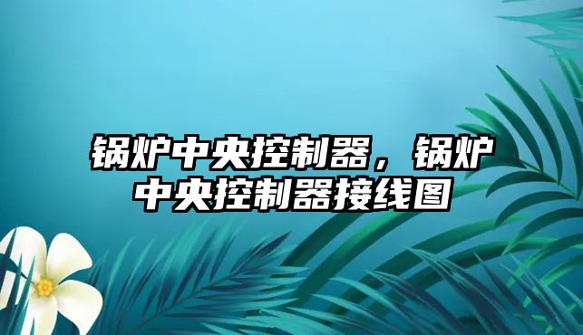 鍋爐中央控制器，鍋爐中央控制器接線圖