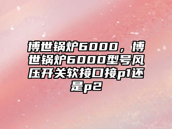 博世鍋爐6000，博世鍋爐6000型號風(fēng)壓開關(guān)軟接口接p1還是p2