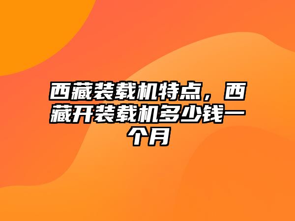 西藏裝載機特點，西藏開裝載機多少錢一個月