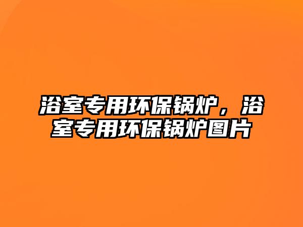 浴室專用環(huán)保鍋爐，浴室專用環(huán)保鍋爐圖片