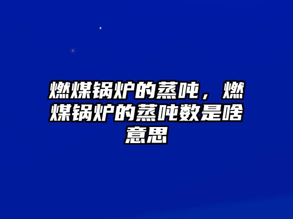 燃煤鍋爐的蒸噸，燃煤鍋爐的蒸噸數(shù)是啥意思