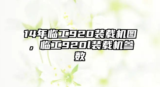 14年臨工920裝載機(jī)圖，臨工920l裝載機(jī)參數(shù)