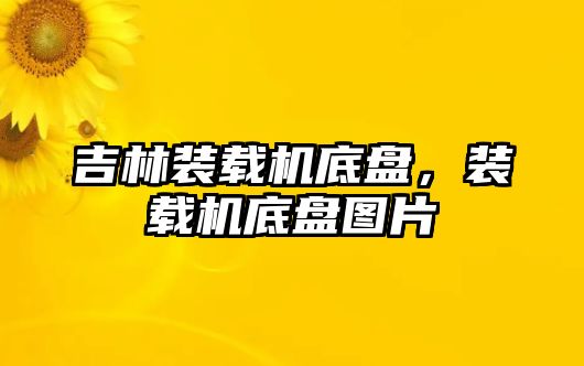 吉林裝載機底盤，裝載機底盤圖片