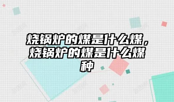 燒鍋爐的煤是什么煤，燒鍋爐的煤是什么煤種