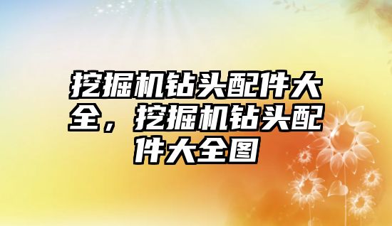 挖掘機鉆頭配件大全，挖掘機鉆頭配件大全圖