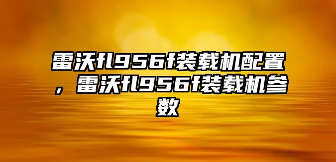 雷沃fl956f裝載機配置，雷沃fl956f裝載機參數(shù)