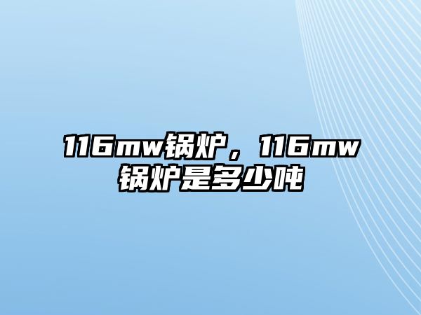 116mw鍋爐，116mw鍋爐是多少噸