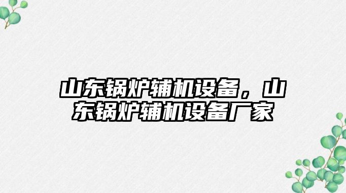 山東鍋爐輔機(jī)設(shè)備，山東鍋爐輔機(jī)設(shè)備廠家