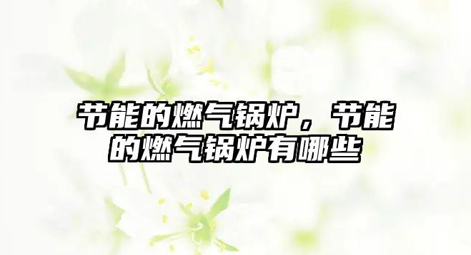 節(jié)能的燃?xì)忮仩t，節(jié)能的燃?xì)忮仩t有哪些