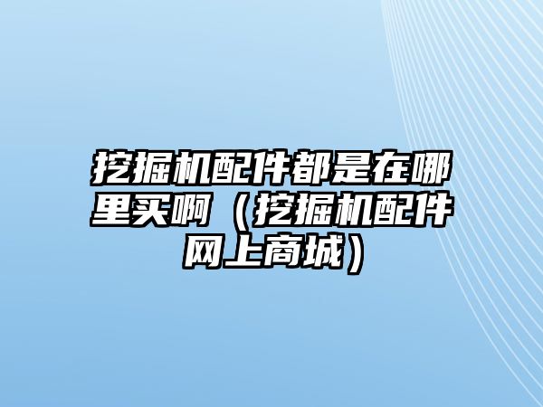 挖掘機(jī)配件都是在哪里買?。ㄍ诰驒C(jī)配件網(wǎng)上商城）