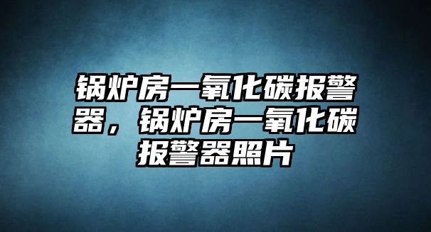 鍋爐房一氧化碳報警器，鍋爐房一氧化碳報警器照片